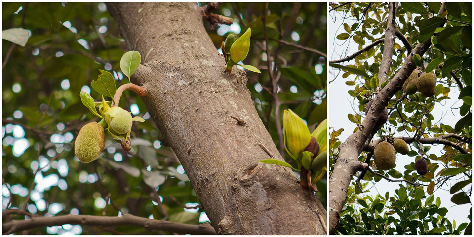 130303_coll11ps